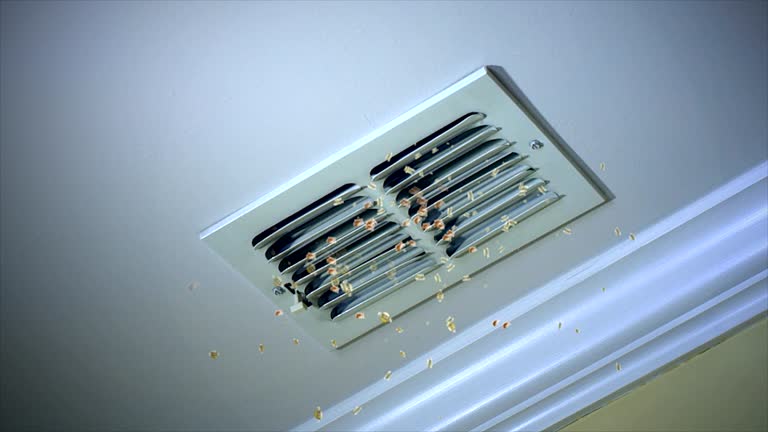 Best Local Air Duct Cleaning Services  in North Browning, MT